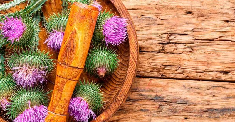 Visonic kapsułki - Zwiększ swój poziom energii i uświadomić swoje zdrowie: Jak wskazane są